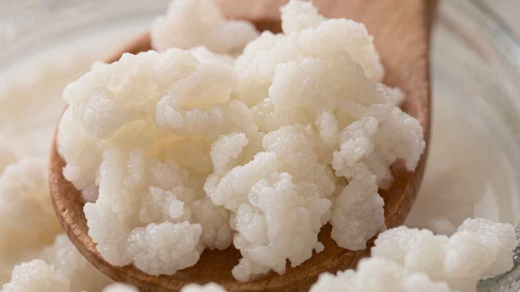 Alles over melkkefir maken met verse kefirkorrels en melk in de keuken