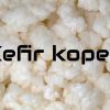 kefirkorrels kopen