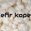 kefirkorrels kopen