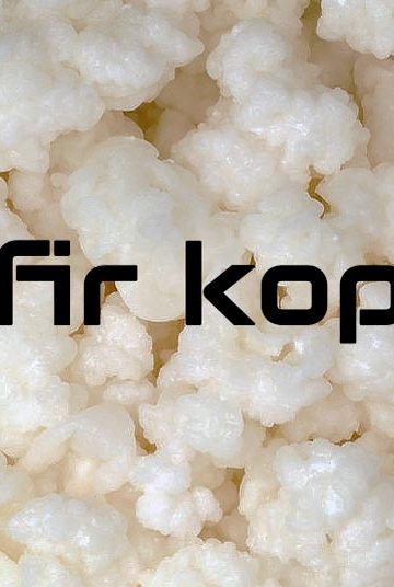kefirkorrels kopen