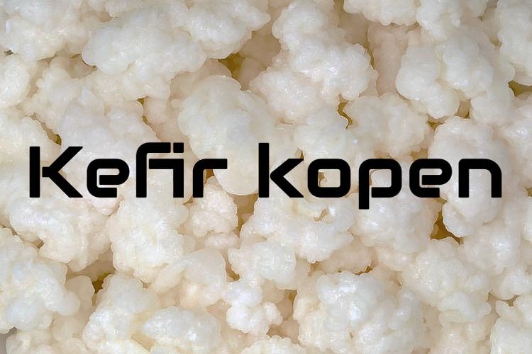 kefirkorrels kopen