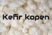 kefirkorrels kopen