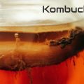 kombucha zelf maken