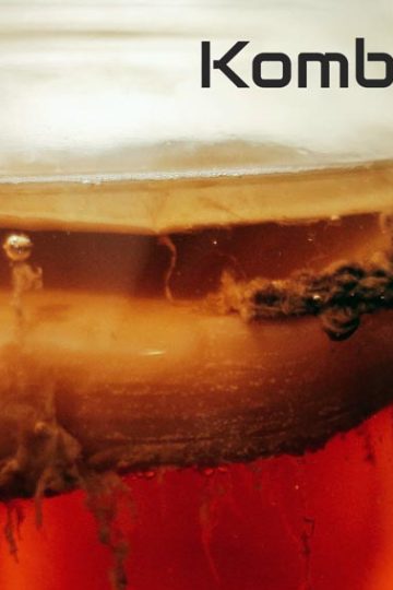 kombucha zelf maken