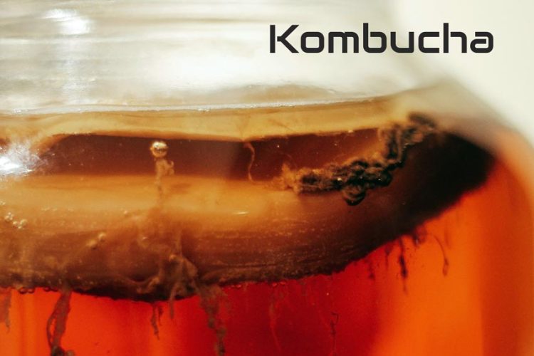 kombucha zelf maken