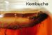 kombucha zelf maken