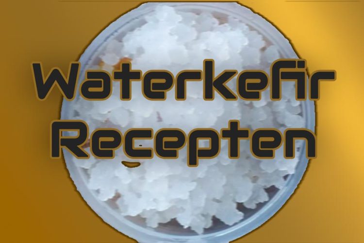 waterkefir de beste recepten