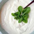zelf yoghurt maken