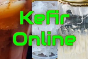 Kefir online