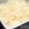 waterkefir