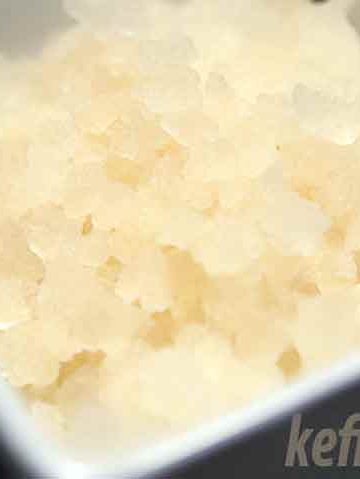 waterkefir