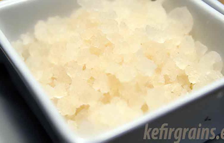 waterkefir