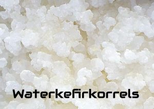 waterkefirkorrels